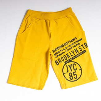 ΣΟΡΤΣ JYC85 211794B ΩΧΡΑ